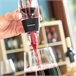 Arejador de Vinho com Filtro, Suporte e Capa Transparente