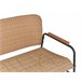 Beliani Conjunto lounge Ratan sintético OFANTO Natural
