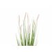Beliani Planta artificial REED PLANT Verde