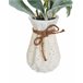 Beliani Planta artificial PEPEROMIA ARGYREIA Verde