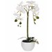 Beliani Planta artificial ORCHID GR1531651