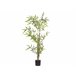 Beliani Planta artificial BAMBUSA VULGARIS Verde