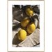 Quadro art deco LIMONES 35x50cm marca MARCOMUEBLE  Multicor