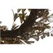 Adorno Natalício Dourado