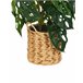 Beliani Planta artificial KIAMA Verde