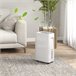 Desumidificador HOMCOM 821-031V90WT Branco