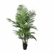 Planta Decorativa Verde