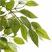 árvore de ficus artificial Verde