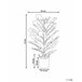 Beliani Planta artificial FIDDLE LEAF TREE Verde