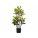 Beliani Planta artificial MAGNOLIA Verde