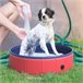 Piscina para animais de estimação PVC, placa de madeira PawHut Vermelho