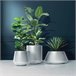 56L POT Branco