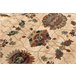 Tapete de lã SUPERIOR LATICA 100x250 Creme