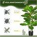 Árvore Perene Artificial PE, PEVA, Aço e Cimento HOMCOM Verde