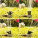 Aspersor de Rega 360º para Jardim Multicor