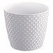 5,4L Orient Pote Branco
