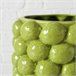 Vaso de flores LIME 14cm vaso de porcelana da marca BOLTZE  Verde