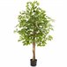 árvore de ficus artificial Verde