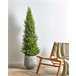 Beliani Planta artificial CEDAR TREE Verde