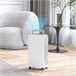 Desumidificador de Ar ABS HOMCOM Branco