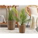 Beliani Conjunto de 2 vasos para plantas SARTI Castanho