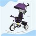 Triciclo Evolutivo para Bebés Poliéster e Metal HOMCOM Roxo