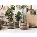 Beliani Conjunto de 3 vasos para plantas RASBORA Bege
