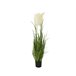 Planta artificial PAMPAS marca EVERLANDS FLOWERS AND PLANTS Verde