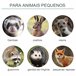 Armadilha para Animais Vivos Aço Outsunny Verde