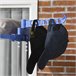 Estendal de Roupa Aço e PP HOMCOM, loja de ferragens - lavanderia Azul