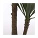 Planta Decorativa Yucca Verde
