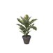 Planta artificial STAN marca MYCA Verde