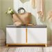 Banco para sapatos com 2 portas FSR117-W SoBuy Branco