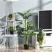 Árvore Monstera Artificial PE, PP, Cimento Outsunny Verde