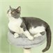 Arranhador para Gatos Melamina de Madeira e Sisal PawHut Cinza