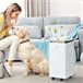 Desumidificador de Ar HOMCOM 821-029V91WT Branco