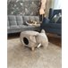 Beliani Puf animal JUMBO Cinza Claro