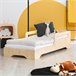 Cama inclui base de ripas Amber Madeira