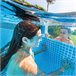 Quadro de prisma INTEX piscina desmontável Clearview Cinza