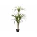 Beliani Planta artificial DRACAENA ANITA Verde