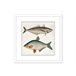 Pintura PECES 42x42cm marca MARCOMUEBLE  Multicor