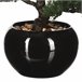 WELL HOME - Bonsai artificial em vaso de cerâmica Verde