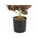 Beliani Planta artificial TRADESCANTIA Verde